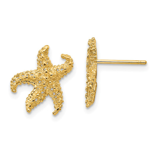 Lex & Lu 14k Yellow Gold Starfish Earrings LAL76061 - Lex & Lu