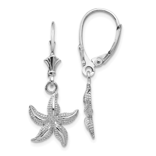 Lex & Lu 14k White Gold Starfish Leverback Earrings - Lex & Lu