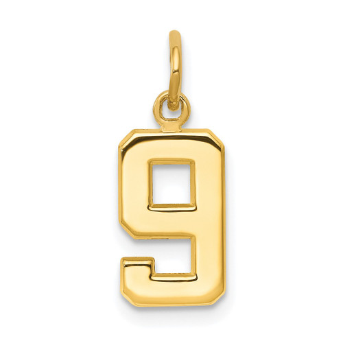 Lex & Lu 14k Yellow Gold Casted Small Polished Number 9 Charm - Lex & Lu