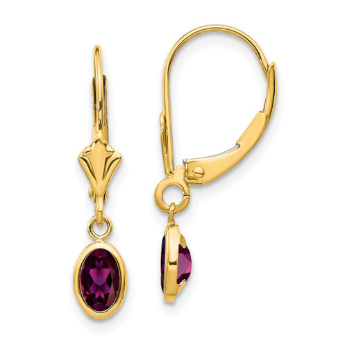 Lex & Lu 14k Yellow Gold 6x4 Oval Bezel June/Rhodolite Leverback Earrings - Lex & Lu