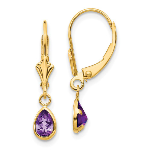 Lex & Lu 14k Yellow Gold 6x4mm Amethyst/February Earrings - Lex & Lu