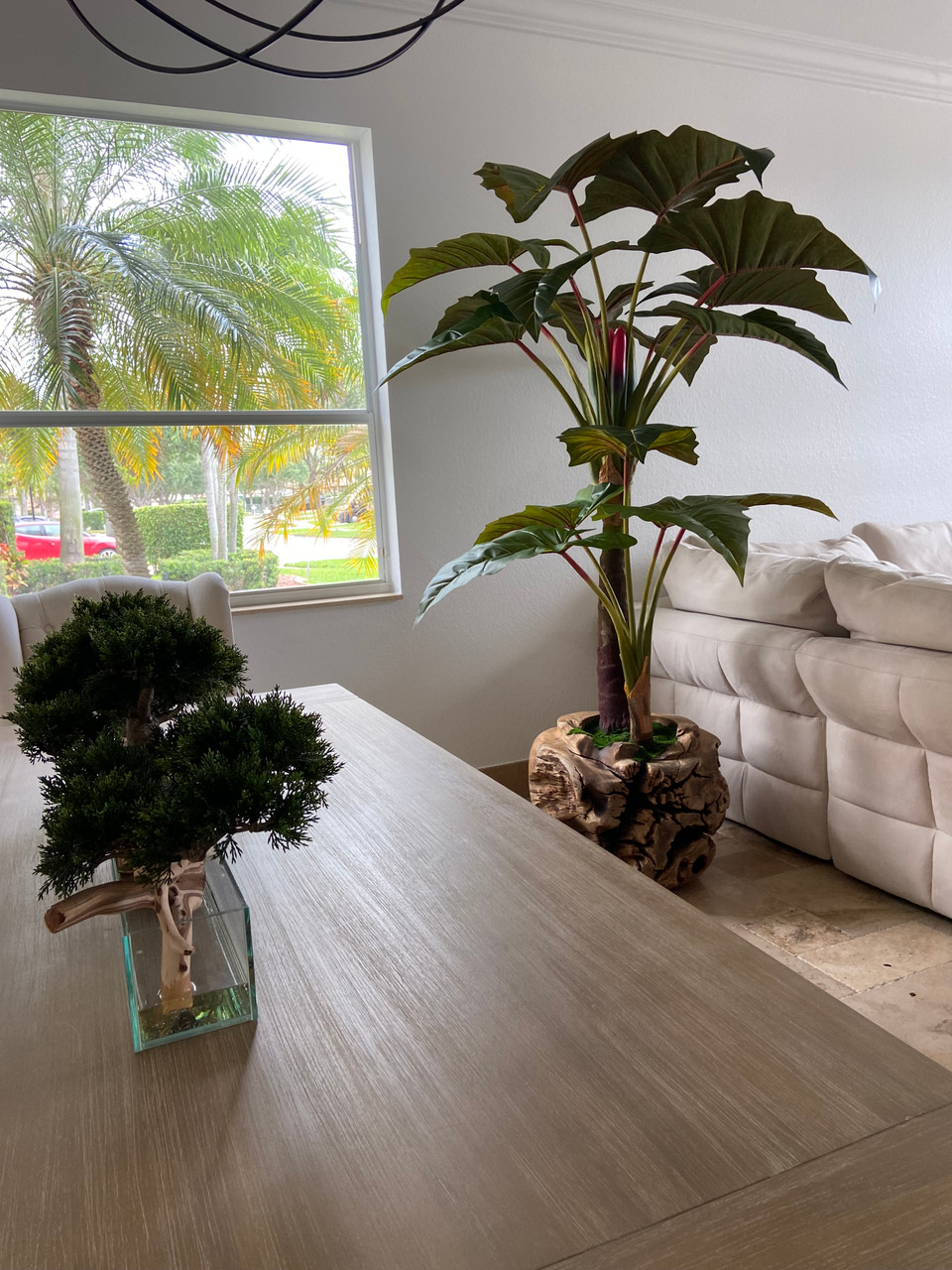Oversized Teak Bowl with Alocacia Plant - CFA Design Group
