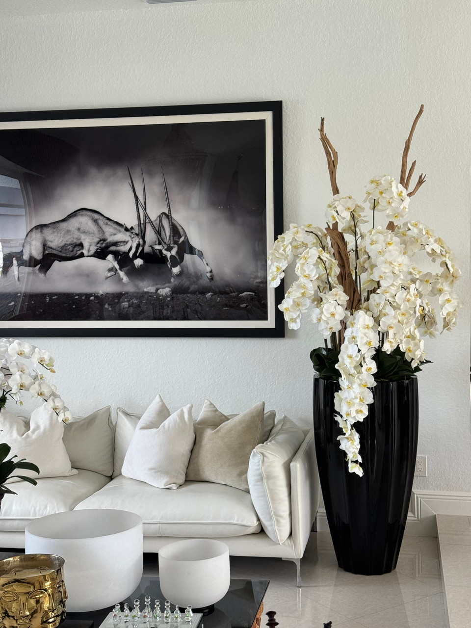 San Jose Planter in Glossy Black with Cascading White Orchids