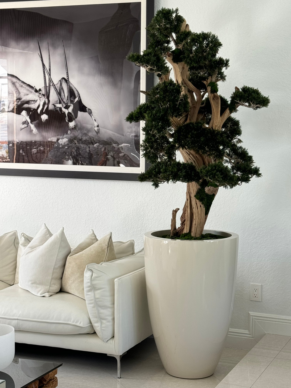 Teak Vase with Semi cascade Bonsai - CFA Design Group