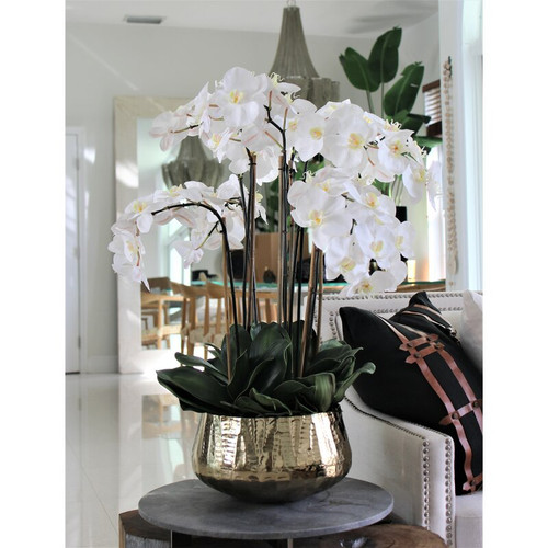 Phalaenopsis Orchids Floral Arrangement in Gold Planter