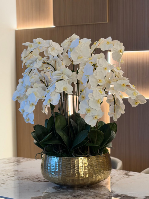 Phalaenopsis Orchids Floral Arrangement in Large Gold Planter