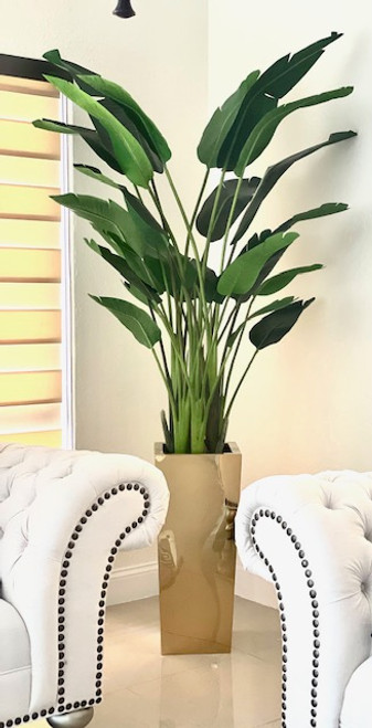 Medium Gold Cube Planter with Bird of Paradise (7')