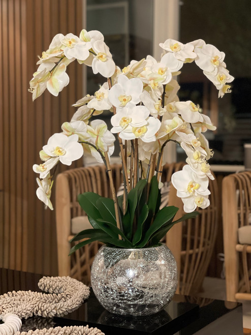 Orchids in Crackled Mirror Vase