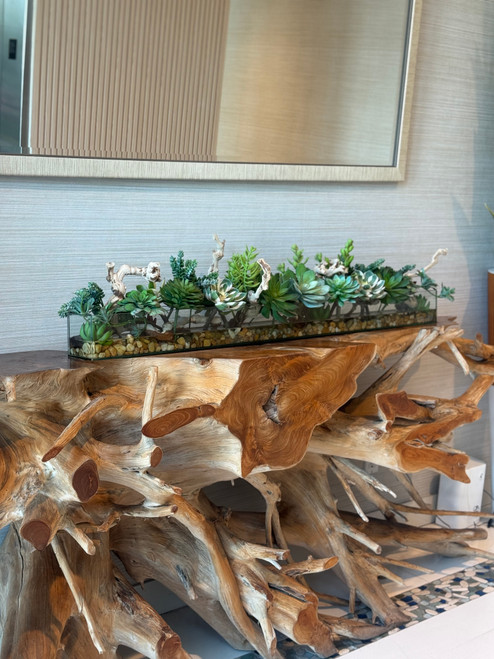 48" Casa Moderna Rectangular Glass Planter with Succulents and Driftwood