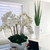 Snake grass (63") with Dax L planter in glossy white