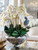 Avenue Bowl with White Phalaenopsis Orchids
