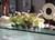 24" Casa Moderna Glass Plate Planter with green orchids