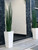 Snake grass (63") with Beau M planter in glossy white 