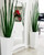 Snake grass (63") with Beau M planter in glossy white 