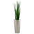Snake grass (4 ft) with metallic cone planter