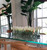 36" Casa Moderna glass plate planter with white callas