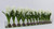 48" Casa Moderna glass plate planter with white hyacinths