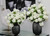 Maximal Vase  Medium with Green Snowball Hydrangeas