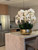Phalaenopsis Orchids Floral Arrangement in Large Gold Planter