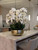 Phalaenopsis Orchids Floral Arrangement in Large Gold Planter