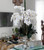 Large Titus Urn with Phalaenopsis Orchids