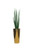 Pure Gold Stainless Steel Tapered Medium Cone with Medium Snake Grass Plant