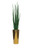 Pure Gold Stainless Steel Tapered Medium Cone with Large Snake Grass Plant