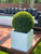 Medium Block Fiberglass Planter with 20" Topiary