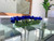 36" Casa Moderna Glass Plate Planter with Blue Tulips