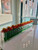 36" Skinny Casa Moderna with Orange Protea Flowers