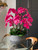 Java Bowl with Pink Phalaenopsis Orchids