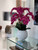 Beth Fiberglass Bowl with Phalaenopsis Orchids and Foliage 