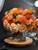 Harvest Collection 8" Rota Mixed Bouquet