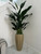 San Jose Fluted Planter in Champagne with Birds of Paradise