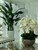  Extra Large Abalone Vase with Cascading White Orchids