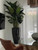 San Jose Fluted Planter in Glossy Black with Birds of Paradise