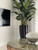 San Jose Fluted Planter in Glossy Black with Birds of Paradise