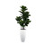 Glossy White San Jose Planter with Fiddle Leaf Tree