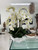 White Phalaenopsis  Orchids in  White Open Hands Sculpture Vase