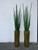  Hammered Stainless Steel Tapered Cone (28") with Large Snake Grass Plant