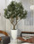 Artificial 98" Olive Tree
