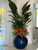 Tropical Mix Plants in Cobalt Blue Globe Planter