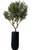 Artificial Olive Tree in Saint Tropez Planter