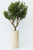 Artificial Olive Tree in Saint Tropez Planter