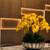 Iliad Ceramic Vase with Orchids