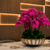 Iliad Ceramic Vase with Orchids