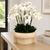 Replay Ceramic Vase with Orchids
