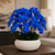 Cascading Orchids in Seraphina Bowl