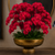 Orchid Arrangement in Hamilton Footed Bowl