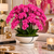Orchid Arrangement in Ceramic Themis Bowl
